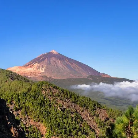Zen Tenerife